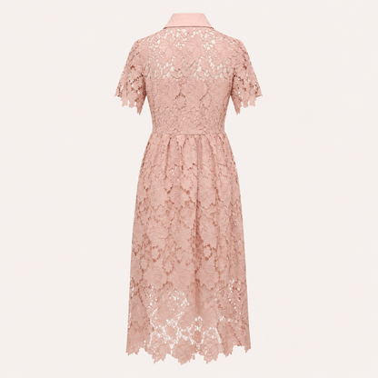 Collared Lace Omi Dress