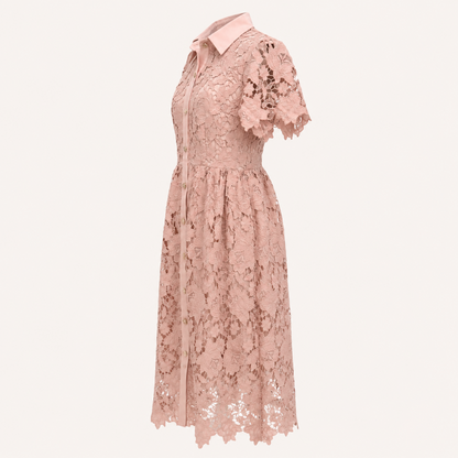 Collared Lace Omi Dress