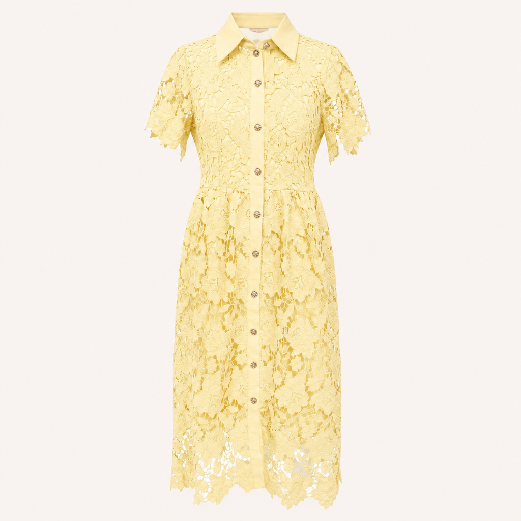 Collared Lace Omi Dress