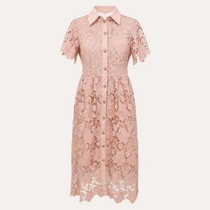 Collared Lace Omi Dress